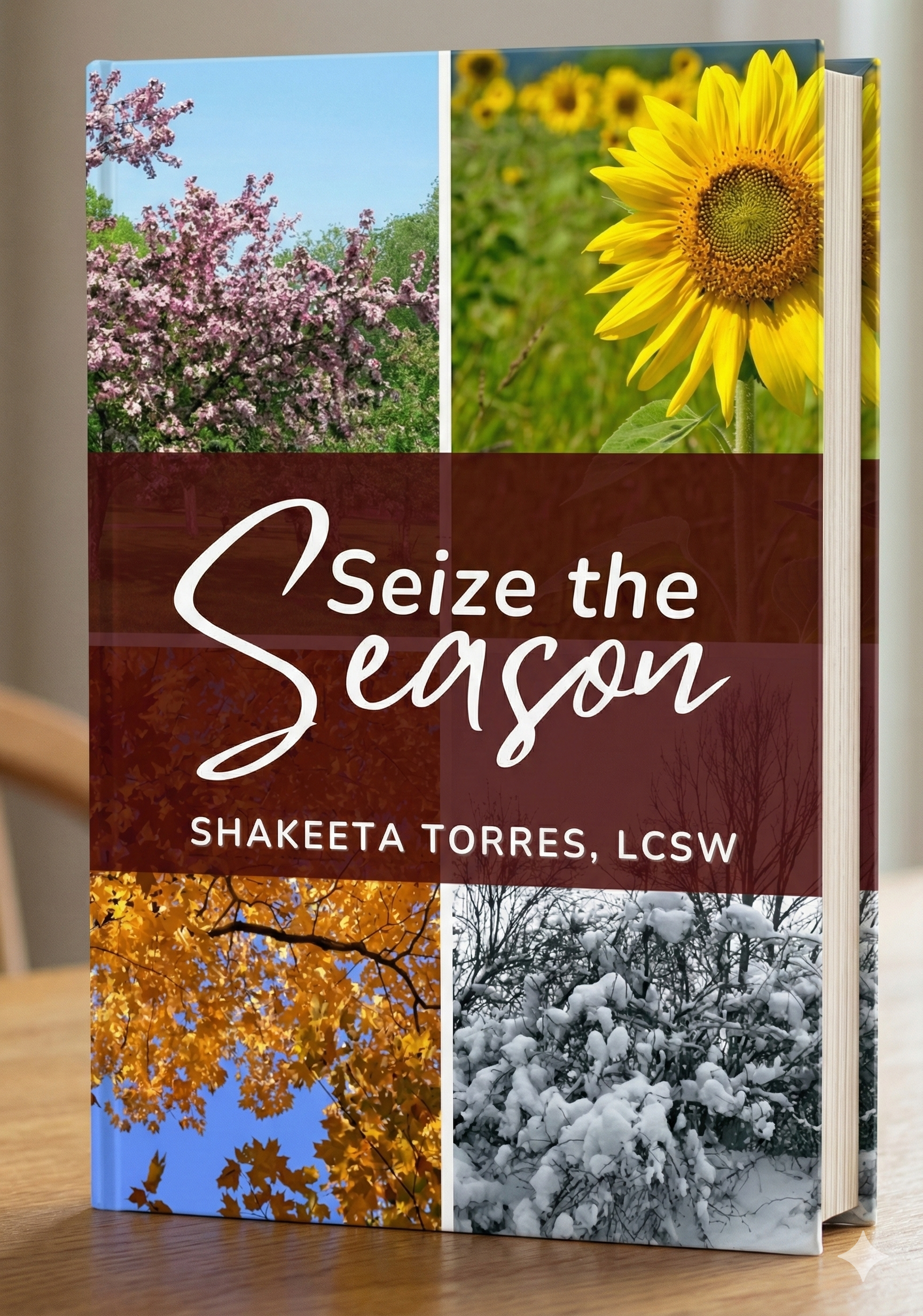 Seize the Season: Understanding Our Walk With Christ (Workbook and Video Teachings)